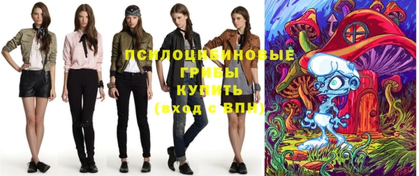твердый Заволжск