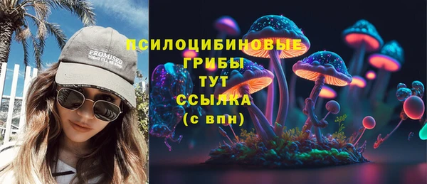 твердый Заволжск
