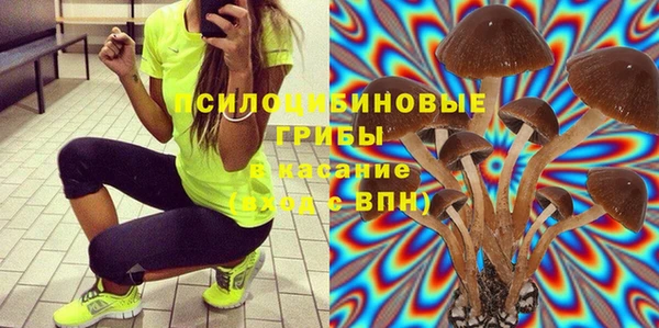 твердый Заволжск